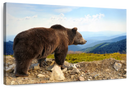 Mountain Bear Wall Art