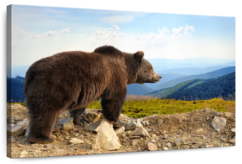 Mountain Bear Wall Art