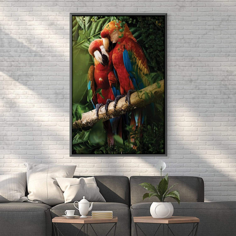 Beautiful Parrots Canvas