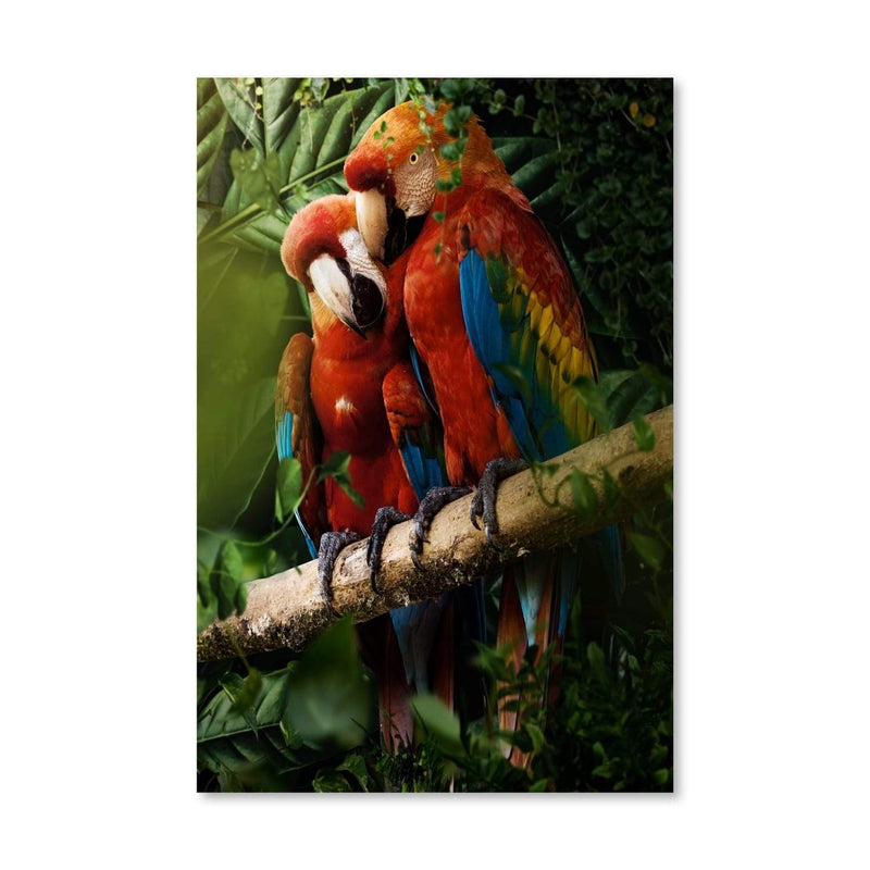 Beautiful Parrots Canvas