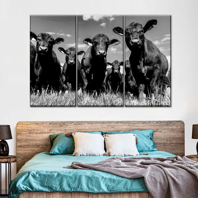 Monochrome Angus Cows Wall Art