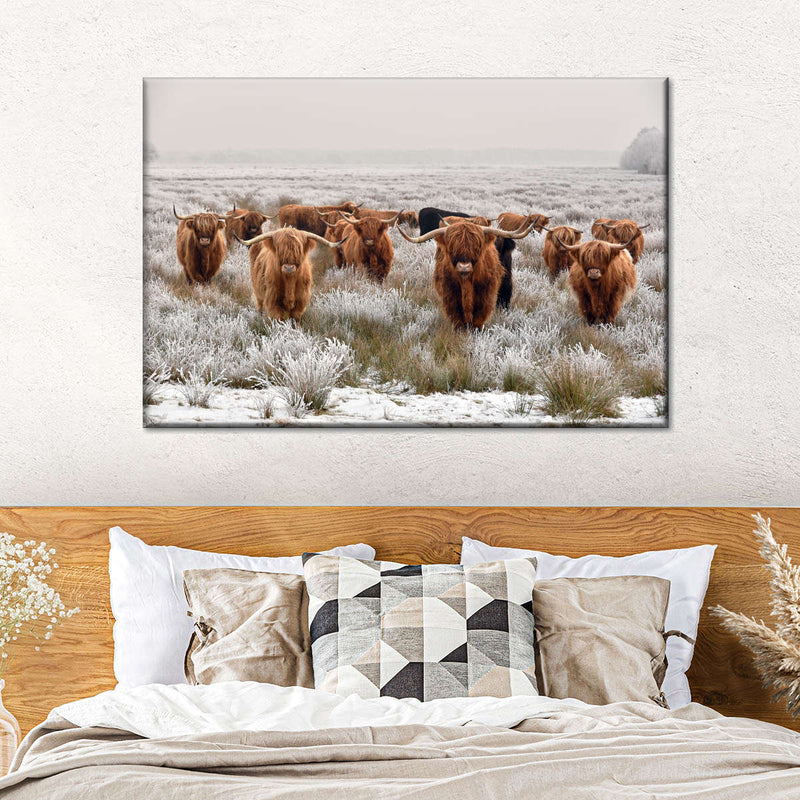 Winter Highland Cows Wall Art