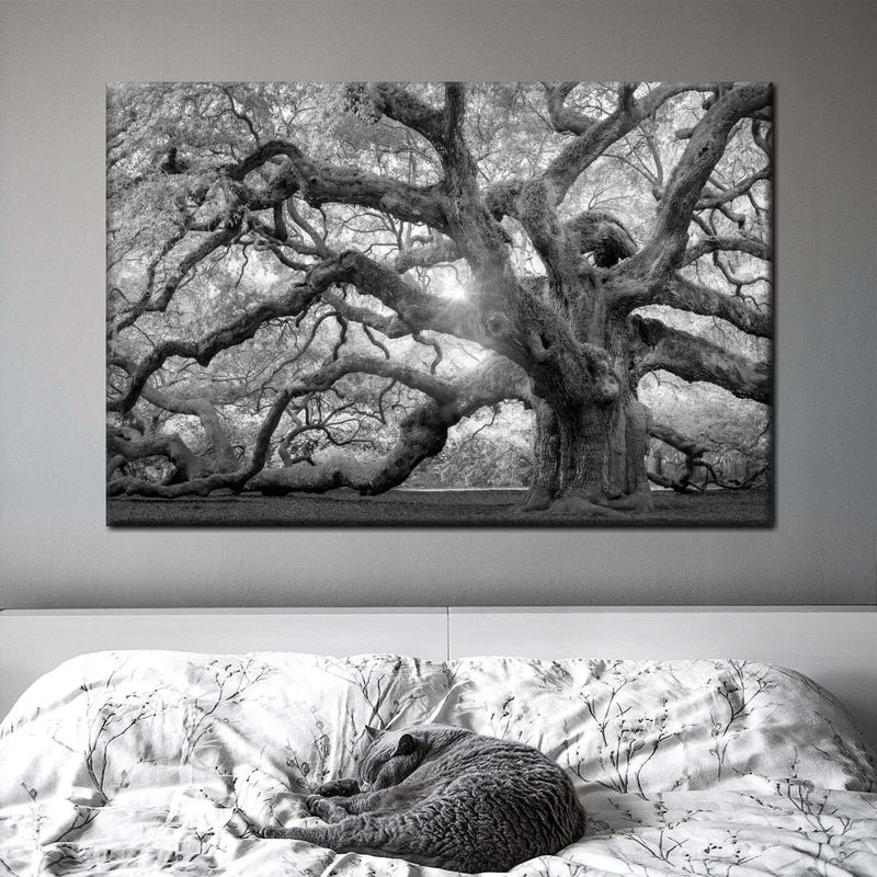 Monochrome Angel Oak Tree Wall Art