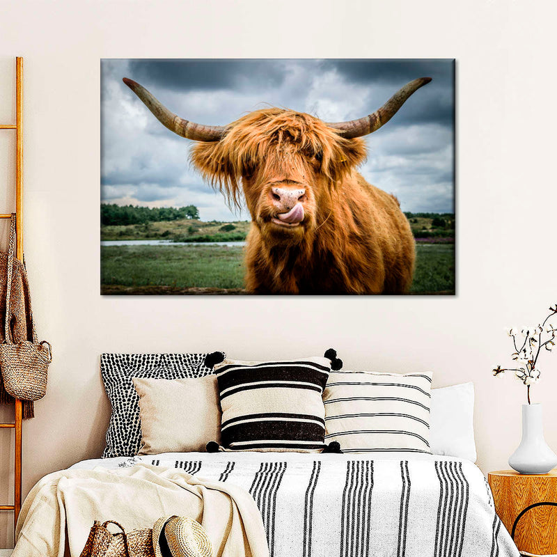 Silly Highland Cow Wall Art