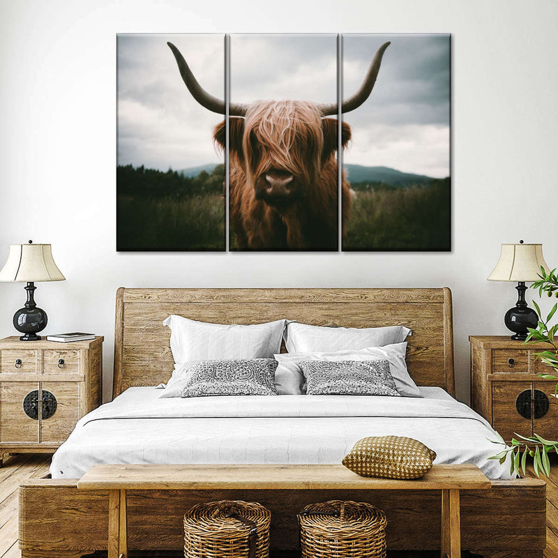 Open Field Highland Cow Wall Art