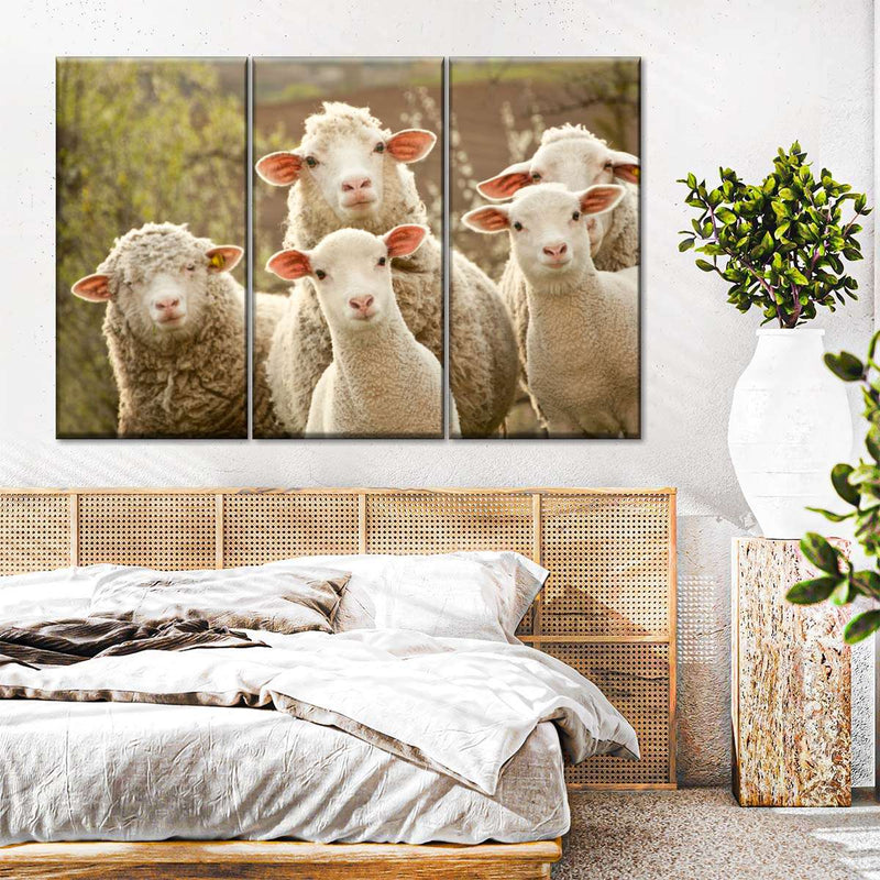 Stunned Sheep Wall Art