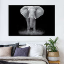Elephant Zone Wall Art