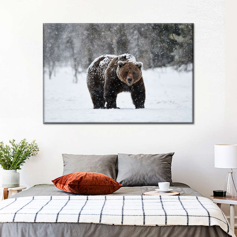 Winter Grizzly Bear Wall Art