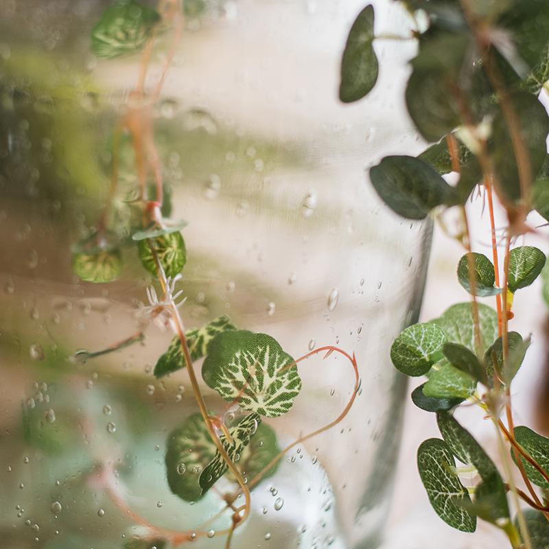 Begonia Leaf Hanging Vine 27" Long