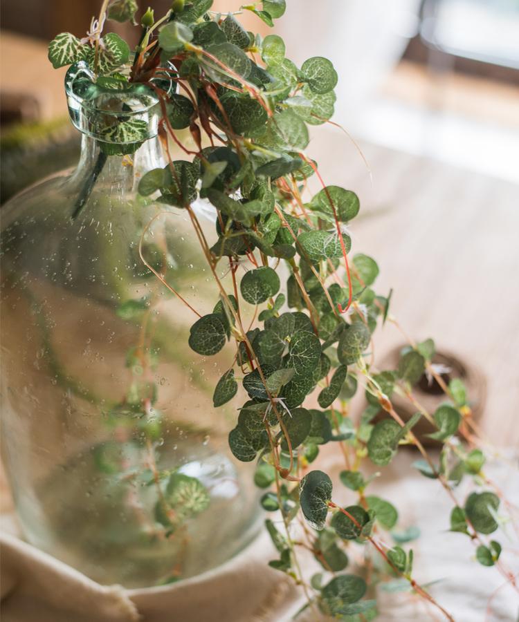 Begonia Leaf Hanging Vine 27" Long