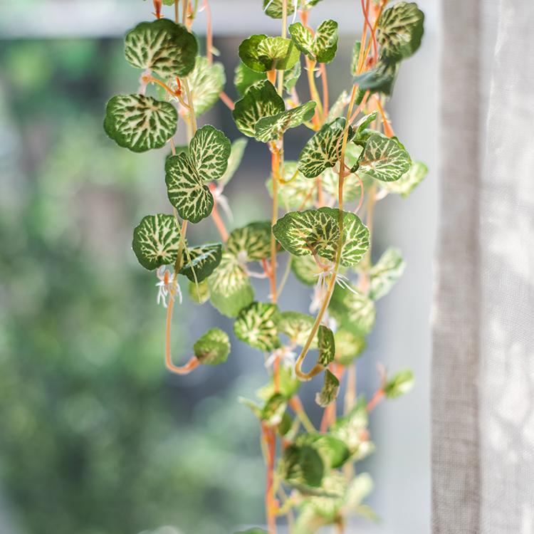 Begonia Leaf Hanging Vine 27" Long