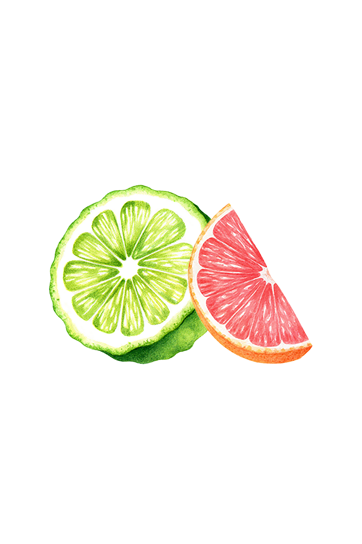 Dish Soap | Bergamot & Grapefruit, photo 3 of 15