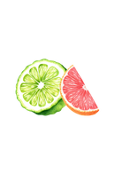 Bergamot & Grapefruit Essential Oil Blend