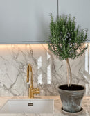 Bergen Dekton