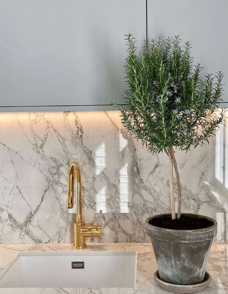 Bergen Dekton
