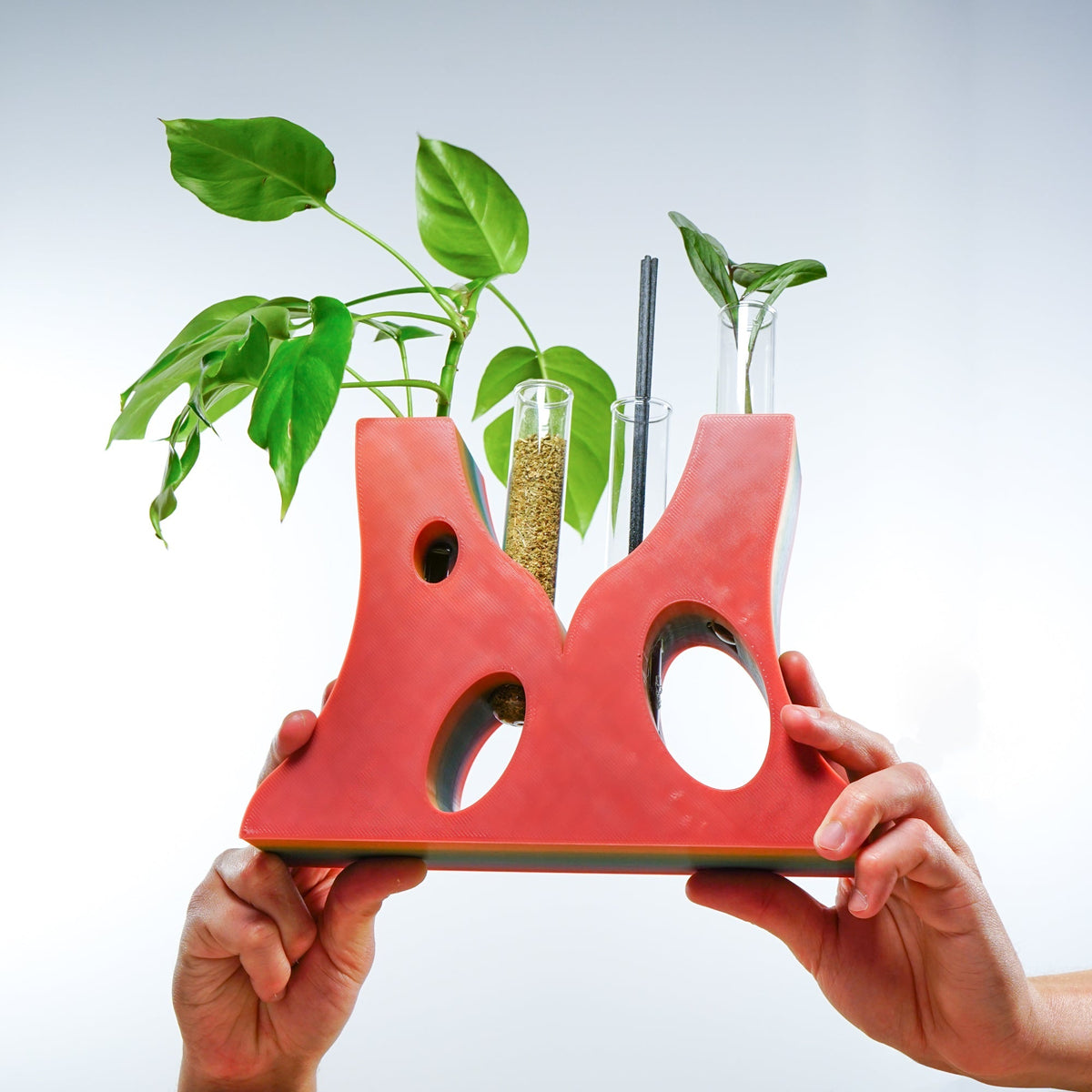 Bespoke 4 Propagation Holder, photo 3 of 13