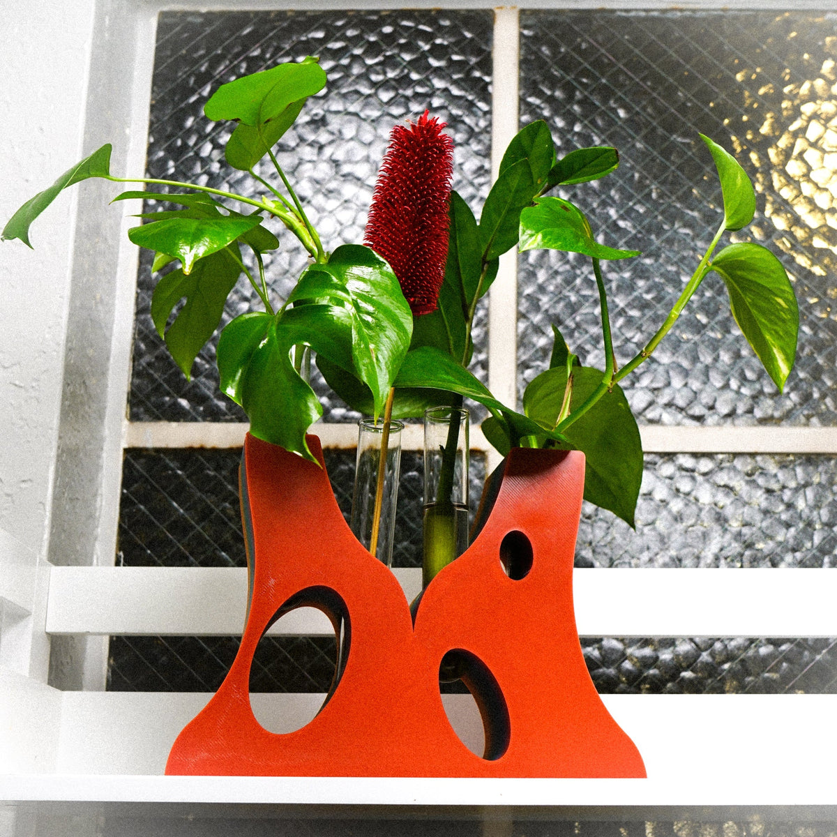 Bespoke 4 Propagation Holder, photo 4 of 13