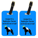 Luggage Tag