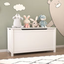 Toy Box Storage With Safety Hinged Lid by Unique Piece Furniture