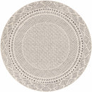 Burdette Soft Neutral Rug