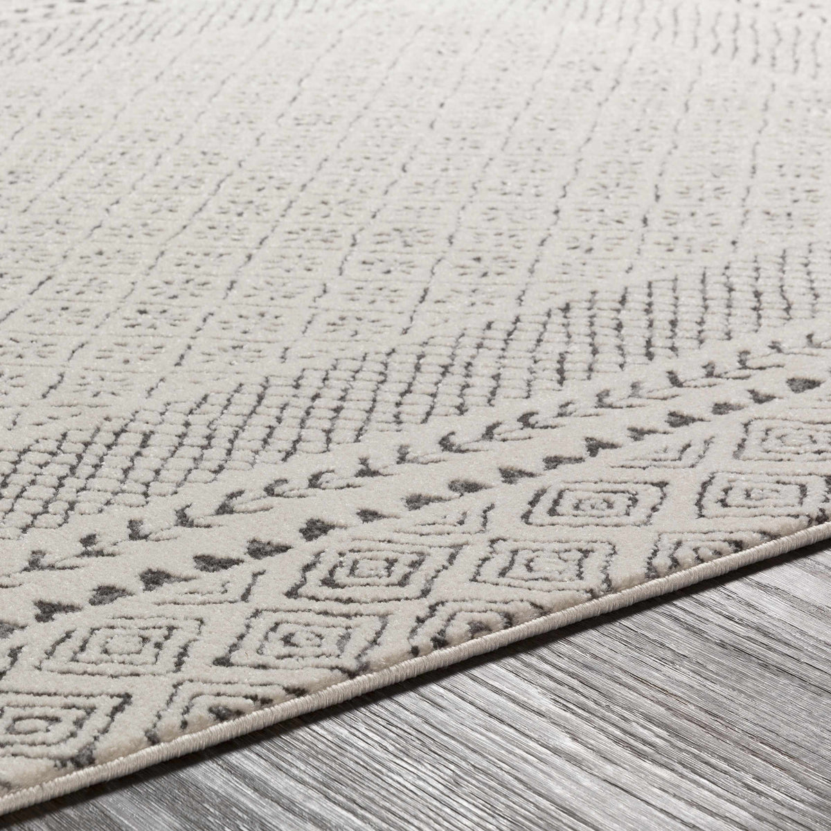 Burdette Soft Neutral Rug, photo 15 of 29