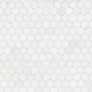 MSI Bianco Dolomite 2” Hexagon Mosaic Tile
