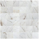 Bianco Rigata Exotic Marble Polished Floor and Wall Tile