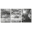 Modern black & white big tree lake sunset canvas – living room wall art by Decorbites