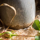 Binglie Glazed Pottery Vase with Handles