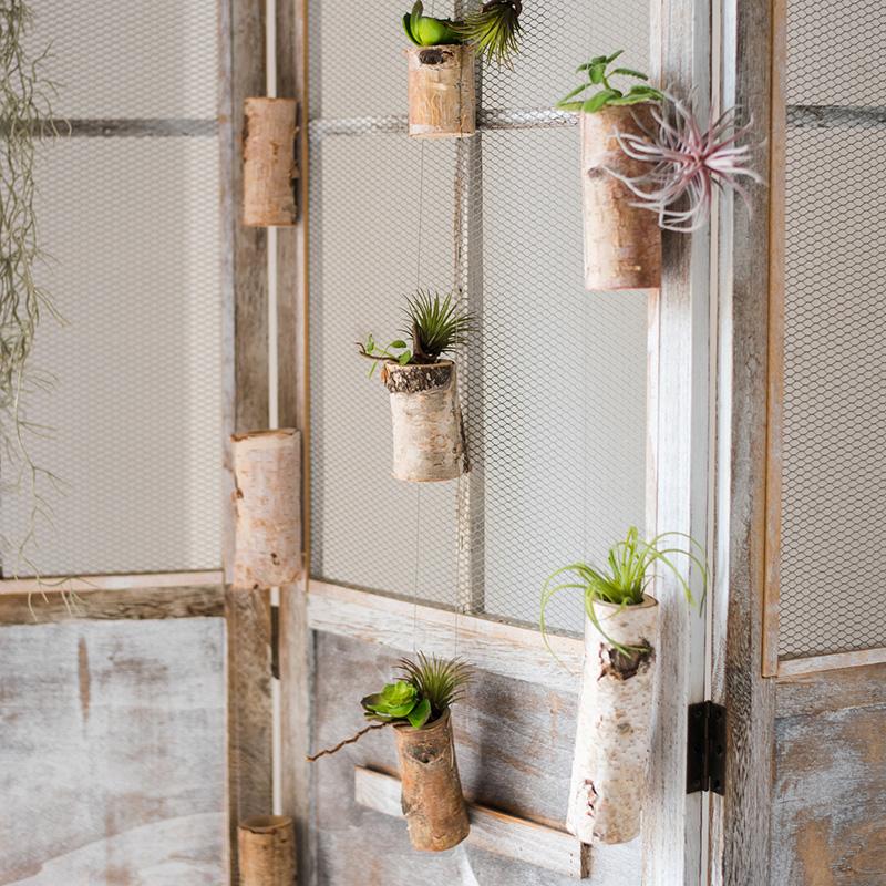 Birch Wood Tiny Planter String Hanging Planter Decoration