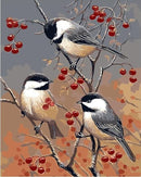 Birds & Red Fruits