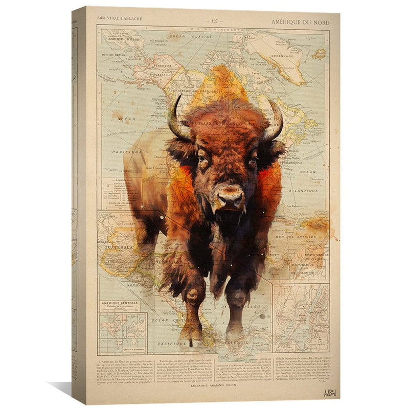 Bison Canvas