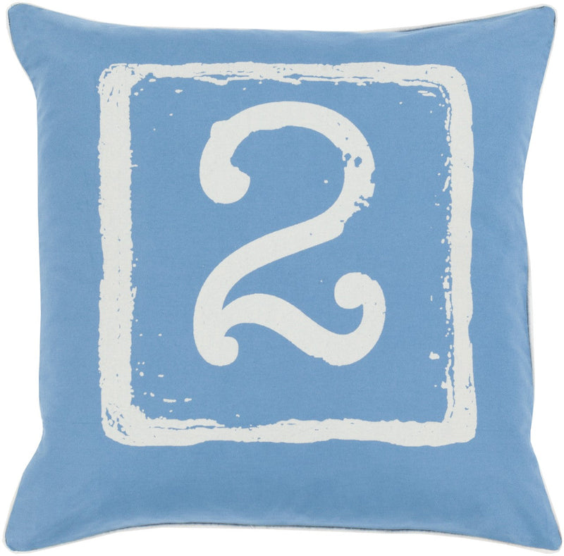 Bertem Denim Pillow Cover