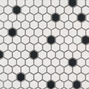 MSI Black And White 1” Hexagon Mosaic Tile