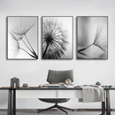 GobekUsa Black and White Dandelion Canvas Wall Art