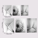 GobekUsa Black and White Dandelion Canvas Wall Art