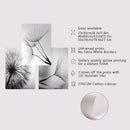 GobekUsa Black and White Dandelion Canvas Wall Art