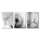 GobekUsa Black and White Dandelion Canvas Wall Art