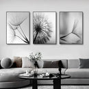 GobekUsa Black and White Dandelion Canvas Wall Art