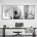 GobekUsa Black and White Dandelion Canvas Wall Art