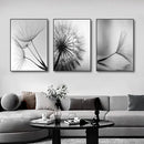 GobekUsa Black and White Dandelion Canvas Wall Art