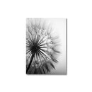GobekUsa Black and White Dandelion Canvas Wall Art