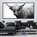Black and White Highland Cow Canvas