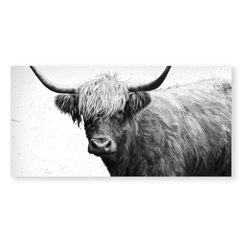 Black and White Highland Cow Canvas