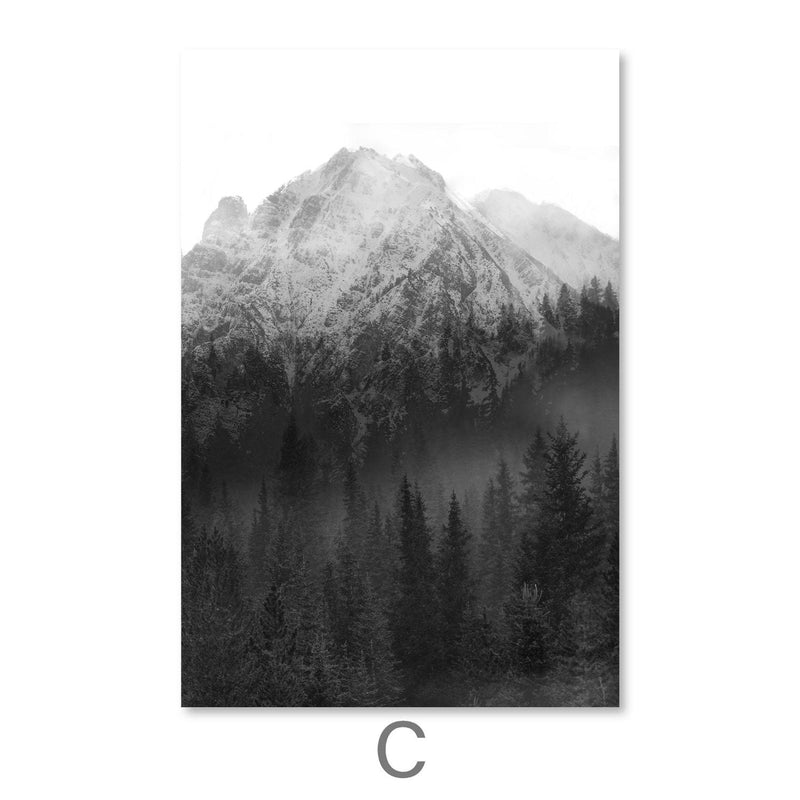 Black and White Nature Canvas