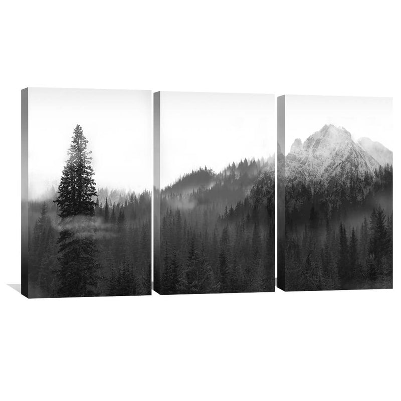 Black and White Nature Canvas