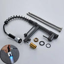 GobekUsa Black Bronze Dual Spout Kitchen Faucet with Pull Down Sprayer