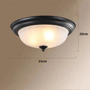 GobekUsa Black Bronze Ceiling Light with Frosted Glass Shade for Bedroom and Kitchen