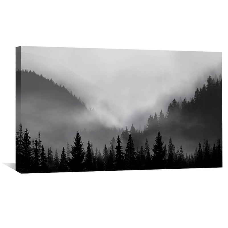 Black Forest Canvas