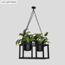 GobekUsa Black Metal Industrial Rectangle Island Light Fixture - 2/3/5 Bulbs LED Lamp with Plant Decor